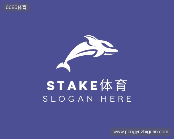 发现Stake